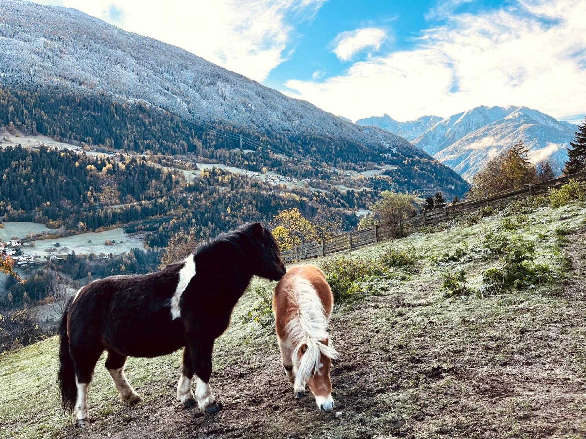 Apart Alpenzeit Arzl im Pitztal Dış mekan fotoğraf