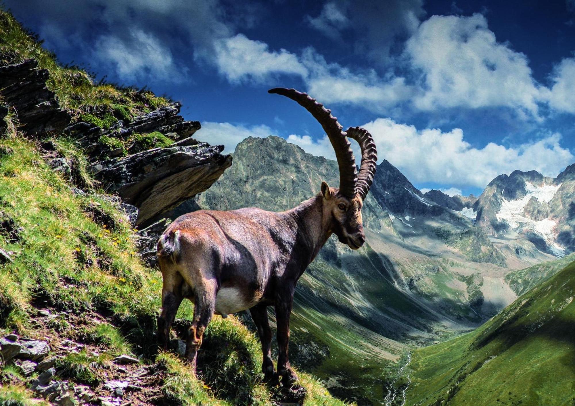 Apart Alpenzeit Arzl im Pitztal Dış mekan fotoğraf