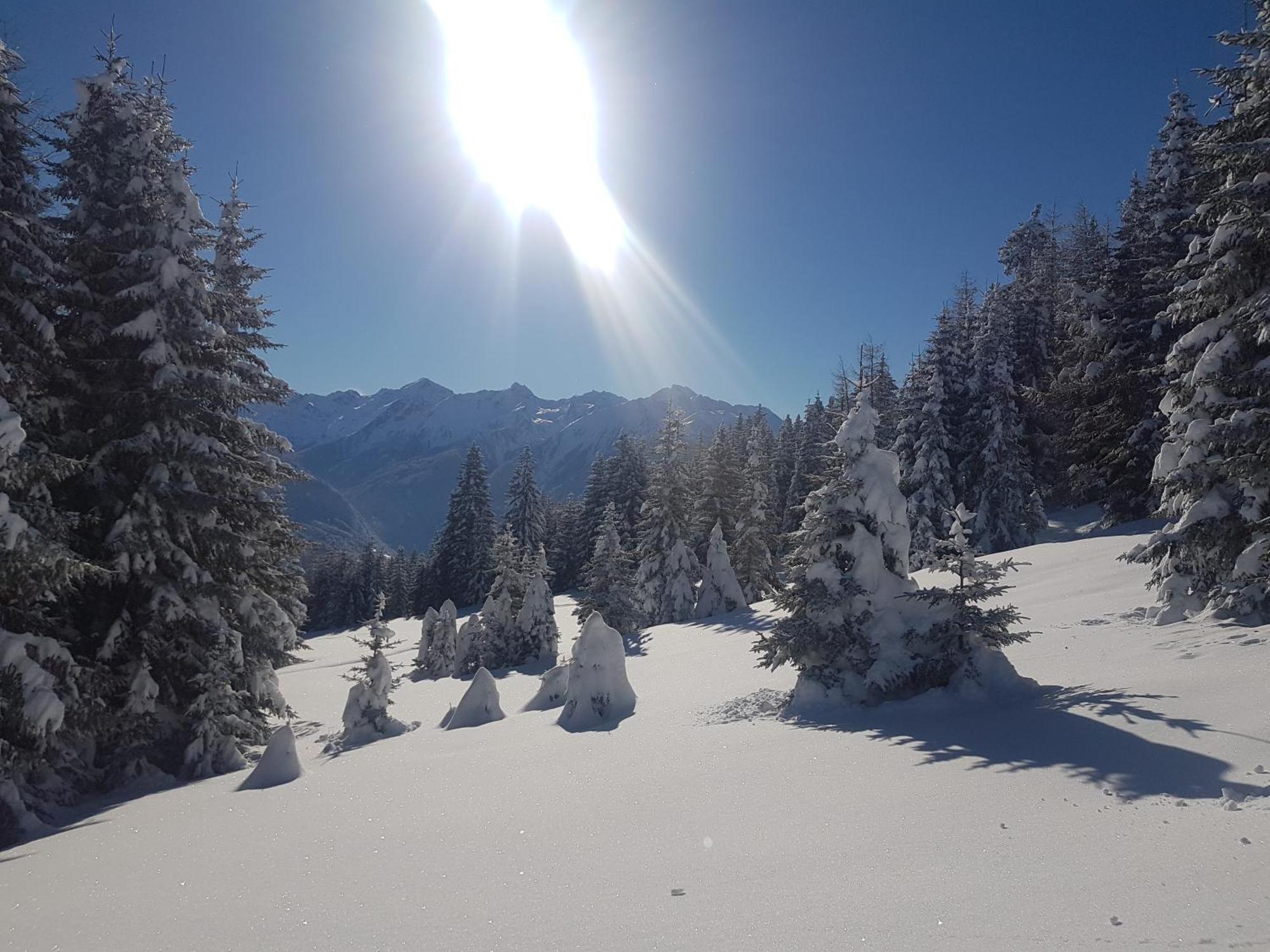 Apart Alpenzeit Arzl im Pitztal Dış mekan fotoğraf